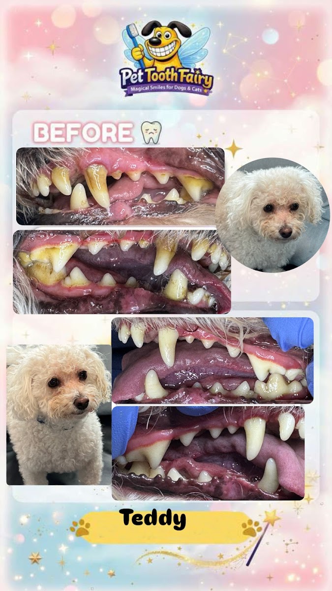 Photo from Kimberly H's review